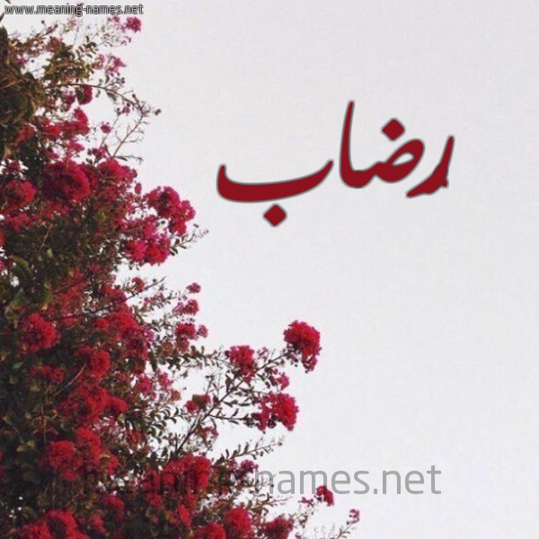 شكل 18 صوره الورد الأحمر للإسم بخط رقعة صورة اسم رُضاب RODAB