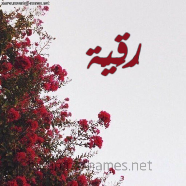 شكل 18 صوره الورد الأحمر للإسم بخط رقعة صورة اسم رُقَيَّة Rokia