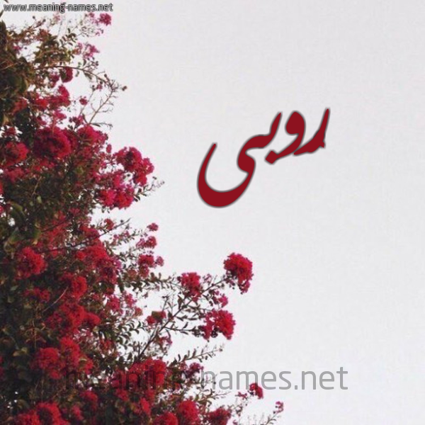 شكل 18 صوره الورد الأحمر للإسم بخط رقعة صورة اسم رُوبى Ruba