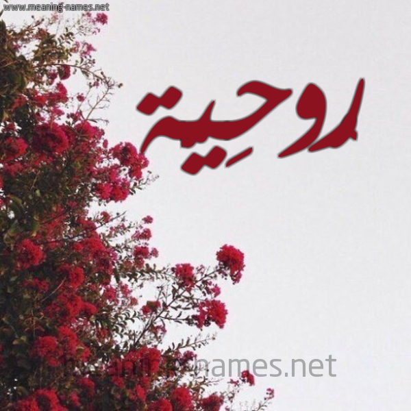 شكل 18 صوره الورد الأحمر للإسم بخط رقعة صورة اسم رُوحِيَّة ROOHEIAH