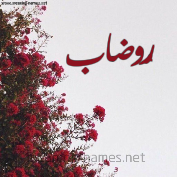 شكل 18 صوره الورد الأحمر للإسم بخط رقعة صورة اسم رُوضاب Rudab