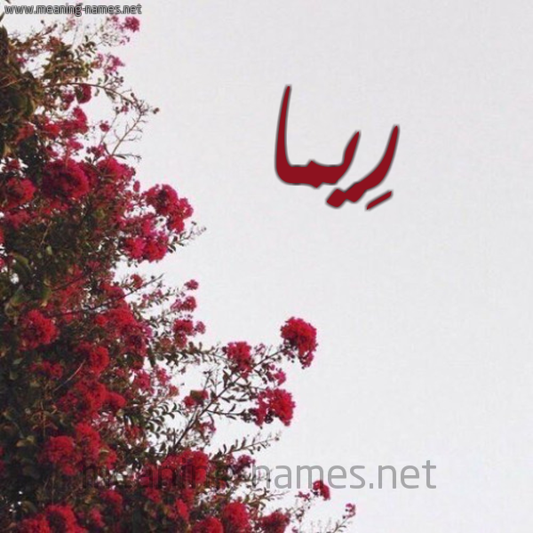 شكل 18 صوره الورد الأحمر للإسم بخط رقعة صورة اسم رِيما Reima