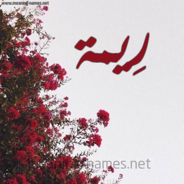 شكل 18 صوره الورد الأحمر للإسم بخط رقعة صورة اسم رِيمة Reima