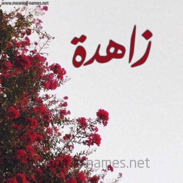 شكل 18 صوره الورد الأحمر للإسم بخط رقعة صورة اسم زاهدة ZAHDH