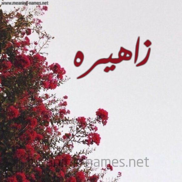 شكل 18 صوره الورد الأحمر للإسم بخط رقعة صورة اسم زاهيره Zahera
