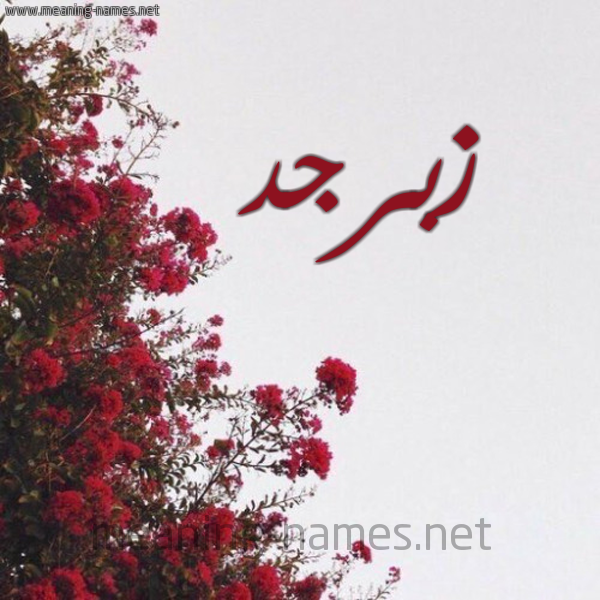 شكل 18 صوره الورد الأحمر للإسم بخط رقعة صورة اسم زبرجد Zbrjd