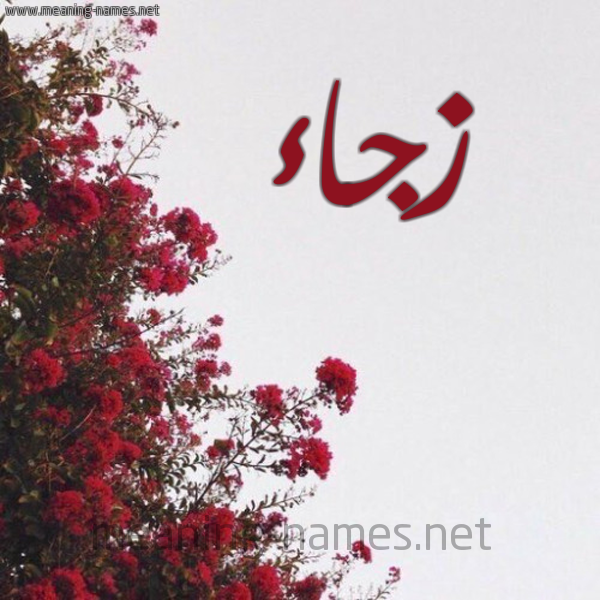 شكل 18 صوره الورد الأحمر للإسم بخط رقعة صورة اسم زجاء ZGAA
