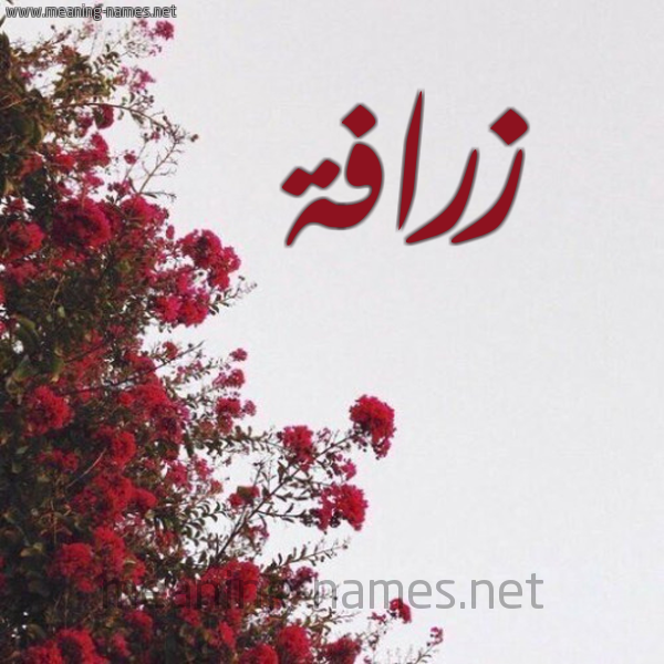 شكل 18 صوره الورد الأحمر للإسم بخط رقعة صورة اسم زرافة ZRAFH