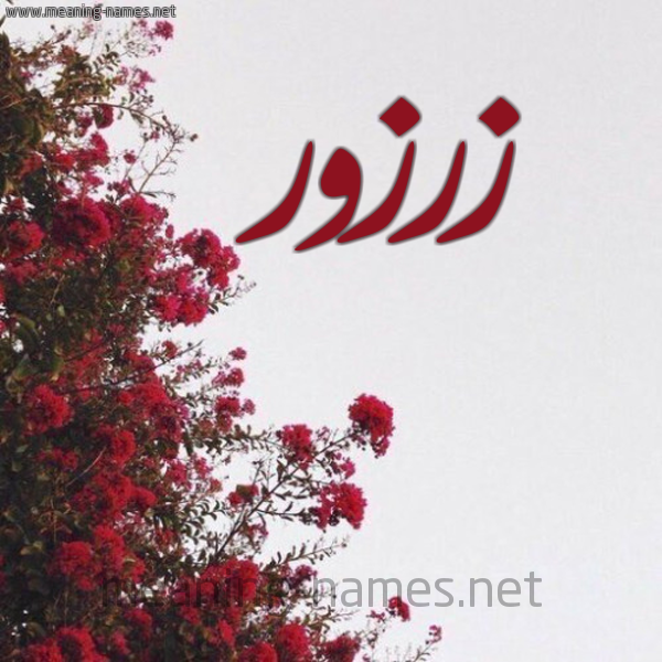 شكل 18 صوره الورد الأحمر للإسم بخط رقعة صورة اسم زرزور ZRZOR