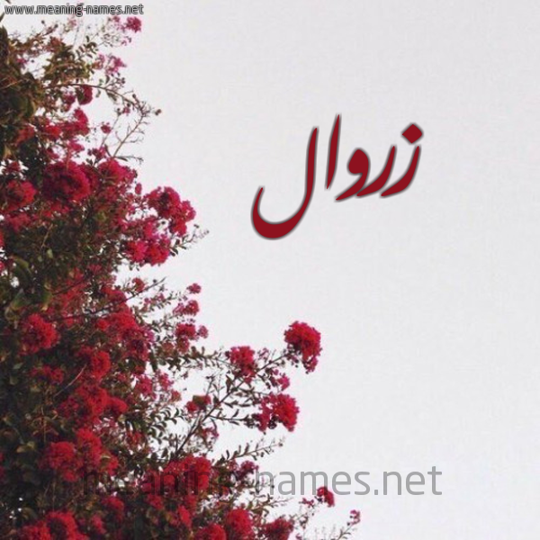 شكل 18 صوره الورد الأحمر للإسم بخط رقعة صورة اسم زروال ZAROUAL
