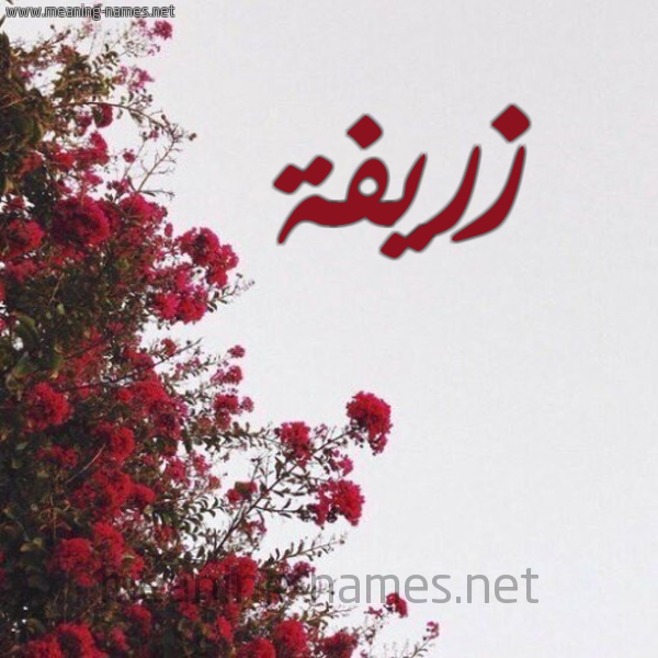 شكل 18 صوره الورد الأحمر للإسم بخط رقعة صورة اسم زريفة Zrifa