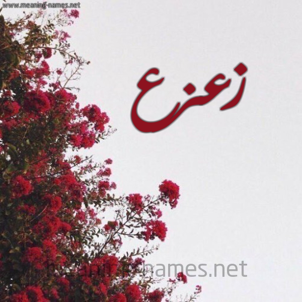 شكل 18 صوره الورد الأحمر للإسم بخط رقعة صورة اسم زعزع Z'z'