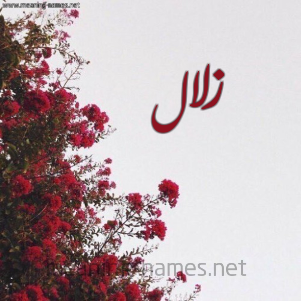 شكل 18 صوره الورد الأحمر للإسم بخط رقعة صورة اسم زلال Zlal