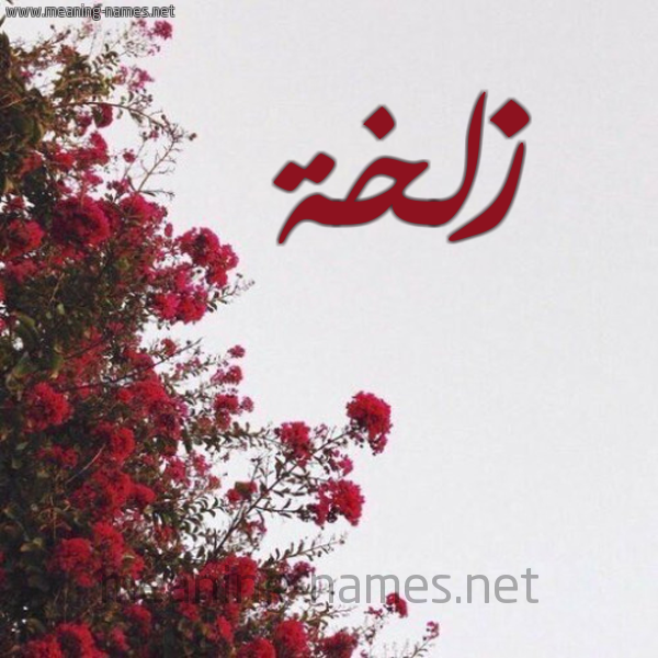 شكل 18 صوره الورد الأحمر للإسم بخط رقعة صورة اسم زلخة ZLKHH