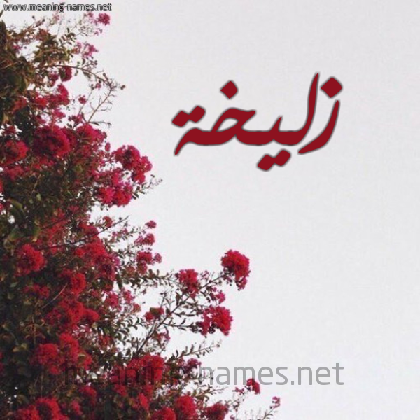 شكل 18 صوره الورد الأحمر للإسم بخط رقعة صورة اسم زليخة Zlikha