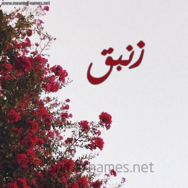 شكل 18 صوره الورد الأحمر للإسم بخط رقعة صورة اسم زنبق ZNBQ