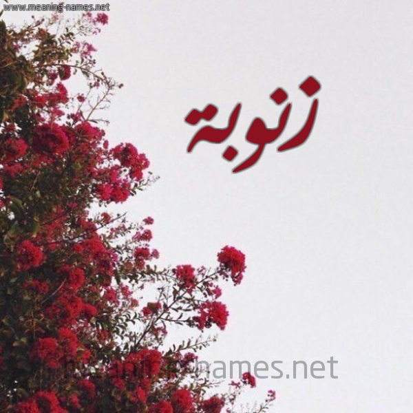 شكل 18 صوره الورد الأحمر للإسم بخط رقعة صورة اسم زنوبة ZNOBa