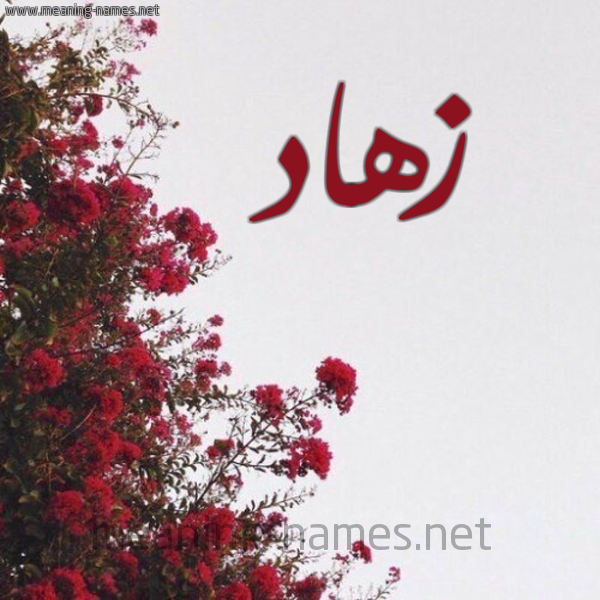 شكل 18 صوره الورد الأحمر للإسم بخط رقعة صورة اسم زهاد Zhad