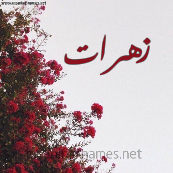شكل 18 صوره الورد الأحمر للإسم بخط رقعة صورة اسم زهرات Zahrat