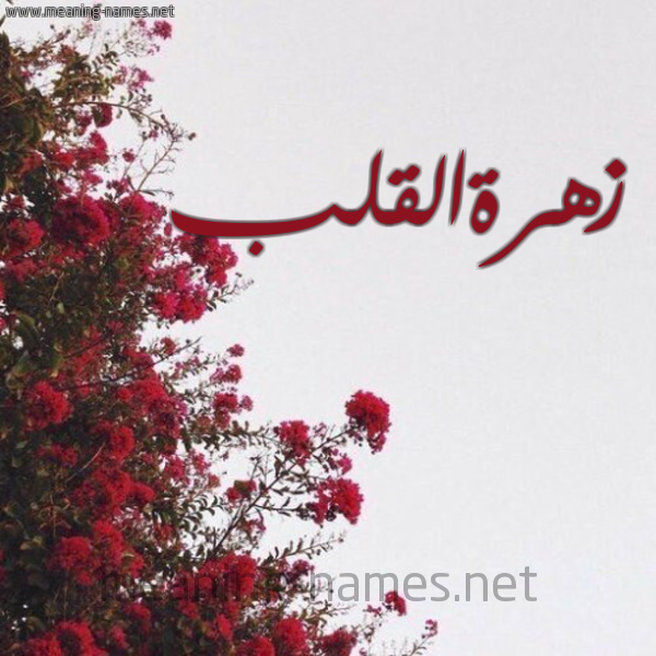 شكل 18 صوره الورد الأحمر للإسم بخط رقعة صورة اسم زهرةالقلب Zhrhalqlb