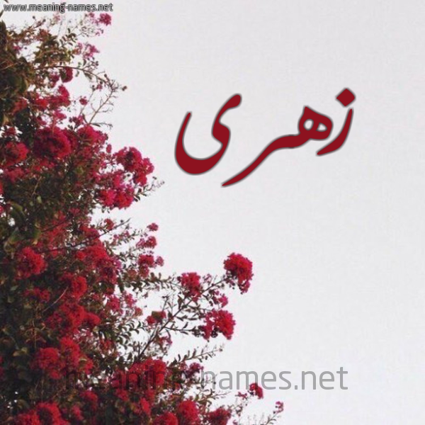 شكل 18 صوره الورد الأحمر للإسم بخط رقعة صورة اسم زهرى Zhra