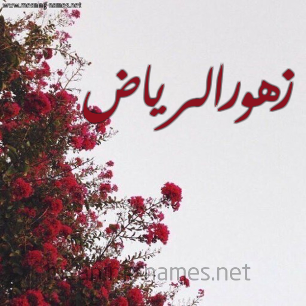 شكل 18 صوره الورد الأحمر للإسم بخط رقعة صورة اسم زهورالرياض Zhwralryad