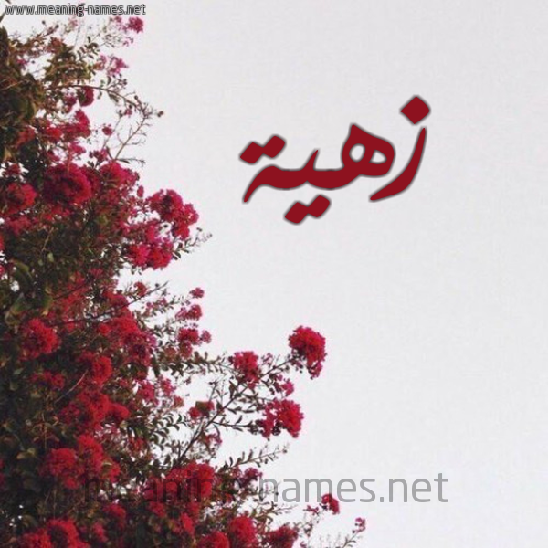شكل 18 صوره الورد الأحمر للإسم بخط رقعة صورة اسم زهية Zhyh