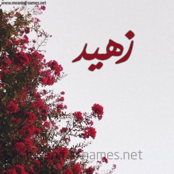 شكل 18 صوره الورد الأحمر للإسم بخط رقعة صورة اسم زهيد Zohd