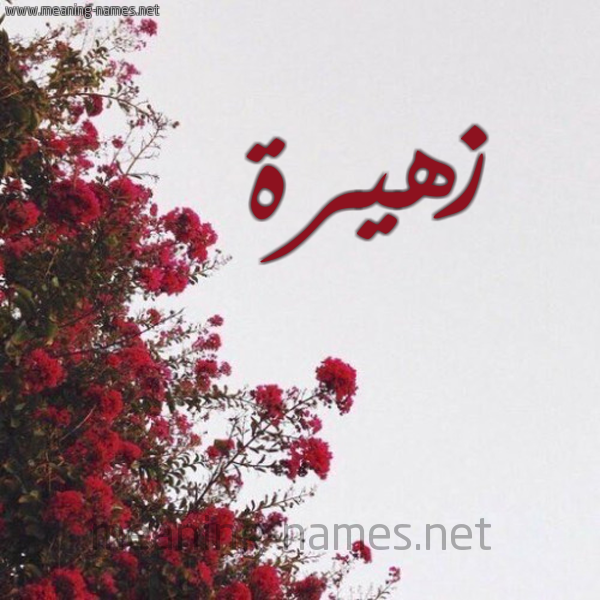 شكل 18 صوره الورد الأحمر للإسم بخط رقعة صورة اسم زهيرة zahyra