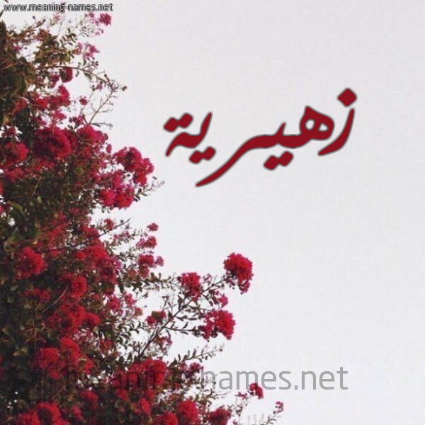 شكل 18 صوره الورد الأحمر للإسم بخط رقعة صورة اسم زهيرية Zahira