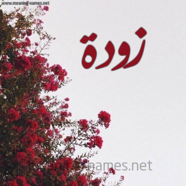 شكل 18 صوره الورد الأحمر للإسم بخط رقعة صورة اسم زودة Zwd'h