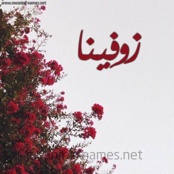 شكل 18 صوره الورد الأحمر للإسم بخط رقعة صورة اسم زوفِينا ZOFEINA