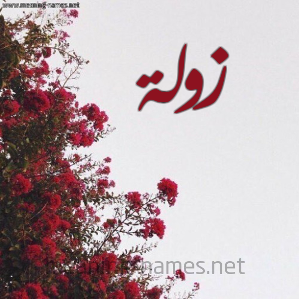 شكل 18 صوره الورد الأحمر للإسم بخط رقعة صورة اسم زولة ZOLH