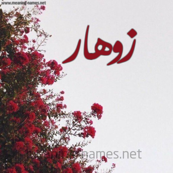 شكل 18 صوره الورد الأحمر للإسم بخط رقعة صورة اسم زوهار zohar