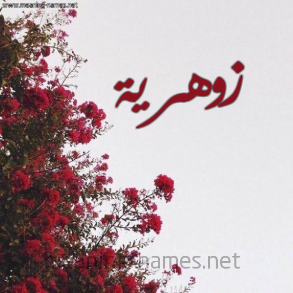 شكل 18 صوره الورد الأحمر للإسم بخط رقعة صورة اسم زوهرية Zuhreyah