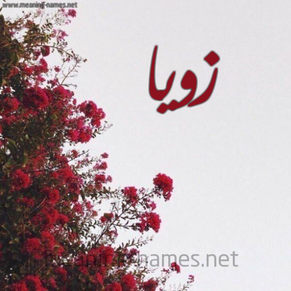 شكل 18 صوره الورد الأحمر للإسم بخط رقعة صورة اسم زويا zoia