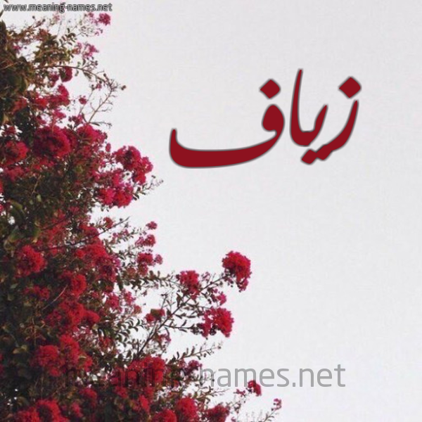 شكل 18 صوره الورد الأحمر للإسم بخط رقعة صورة اسم زياف Zyaf