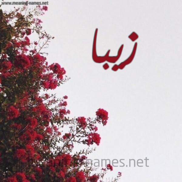 شكل 18 صوره الورد الأحمر للإسم بخط رقعة صورة اسم زيبا ZIBA