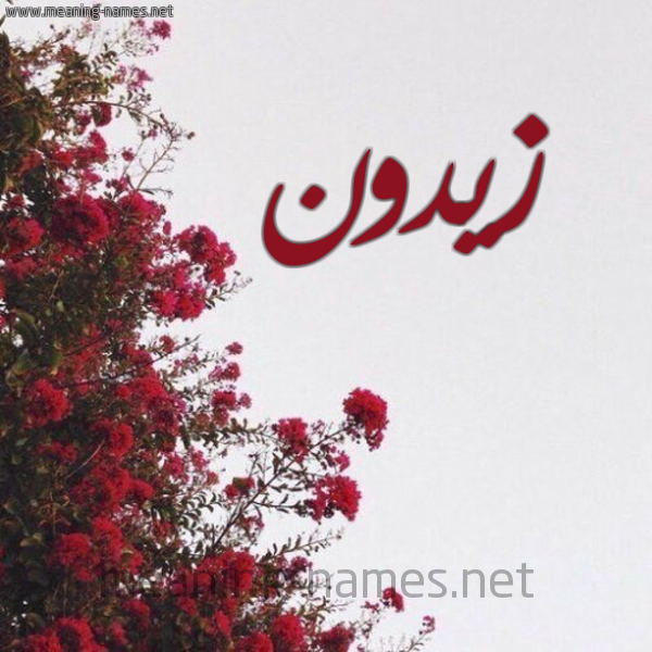 شكل 18 صوره الورد الأحمر للإسم بخط رقعة صورة اسم زيدون Zydon