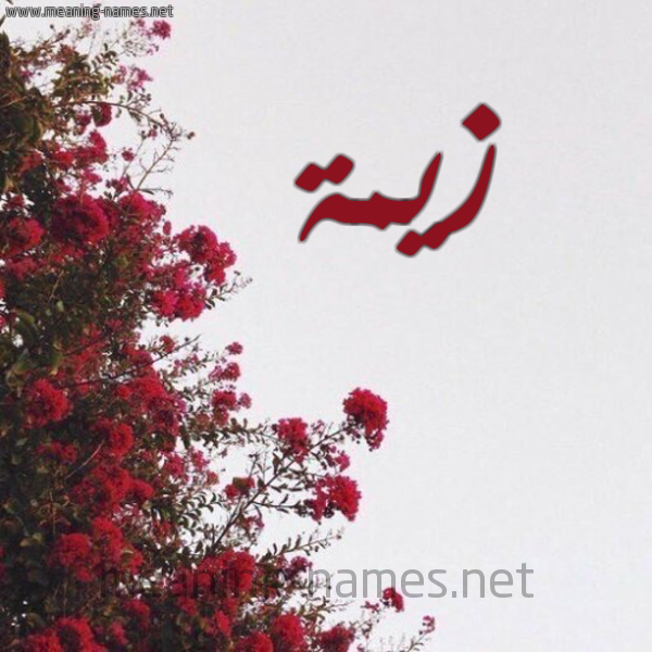 شكل 18 صوره الورد الأحمر للإسم بخط رقعة صورة اسم زيمة Zymh