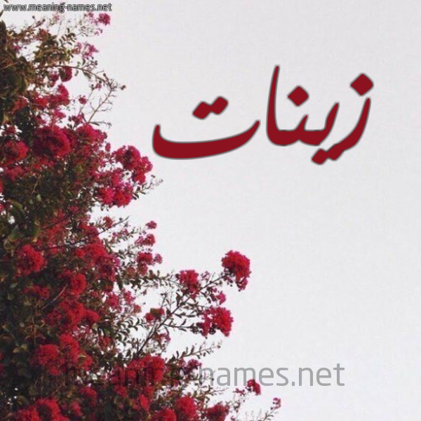 شكل 18 صوره الورد الأحمر للإسم بخط رقعة صورة اسم زينات Zynat