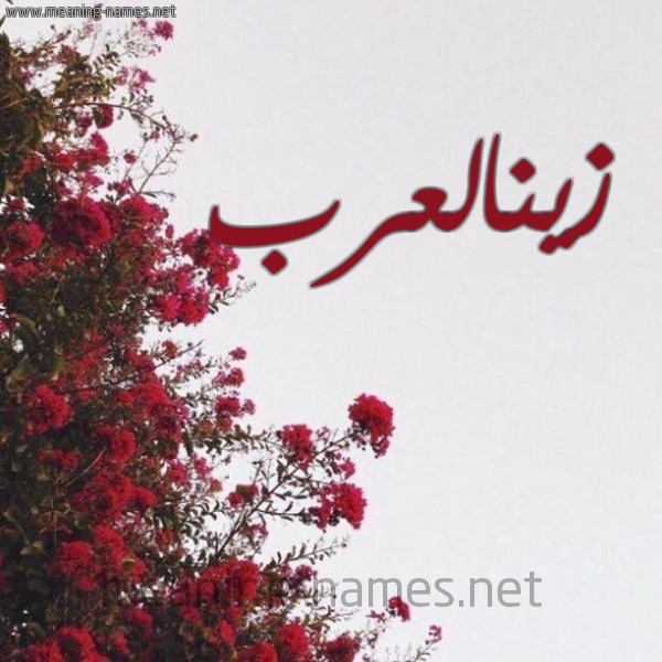 شكل 18 صوره الورد الأحمر للإسم بخط رقعة صورة اسم زينالعرب Zynal'rb