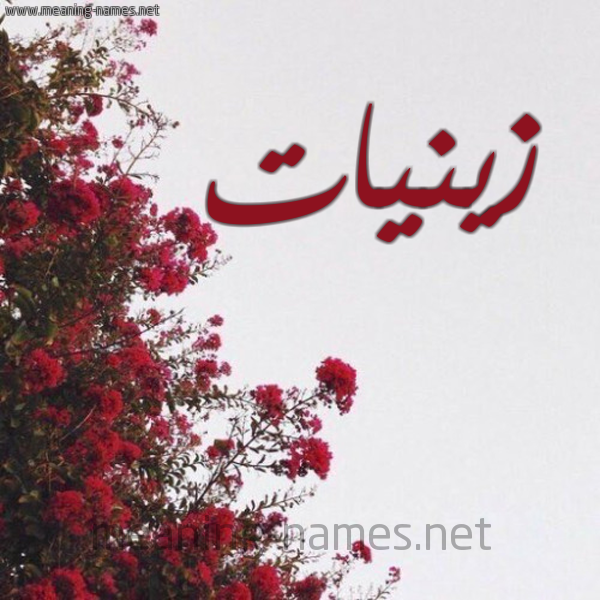 شكل 18 صوره الورد الأحمر للإسم بخط رقعة صورة اسم زينيات Zeinat