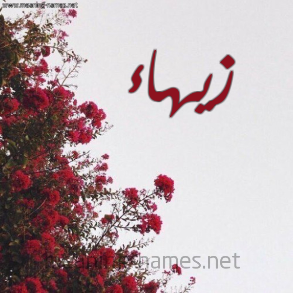 شكل 18 صوره الورد الأحمر للإسم بخط رقعة صورة اسم زيهاء Zahaa