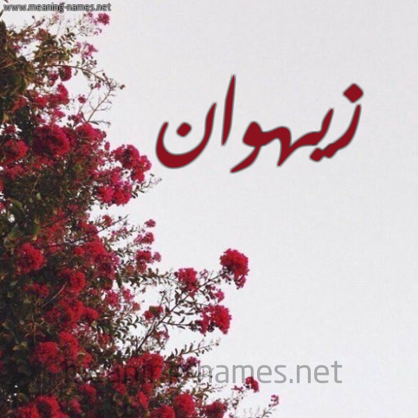 شكل 18 صوره الورد الأحمر للإسم بخط رقعة صورة اسم زيهوان Zahwan