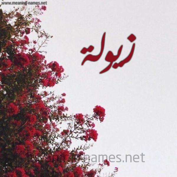 شكل 18 صوره الورد الأحمر للإسم بخط رقعة صورة اسم زيولة Zawla