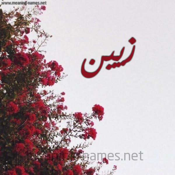 شكل 18 صوره الورد الأحمر للإسم بخط رقعة صورة اسم زيين Zein