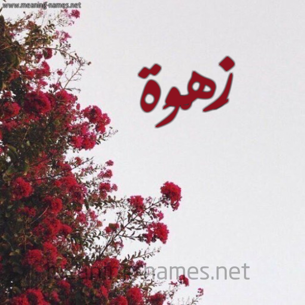 شكل 18 صوره الورد الأحمر للإسم بخط رقعة صورة اسم زَهْوَة ZAHOAH