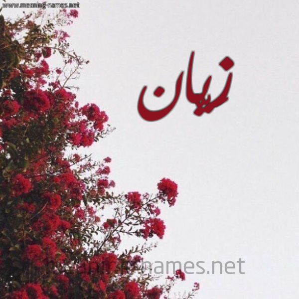شكل 18 صوره الورد الأحمر للإسم بخط رقعة صورة اسم زَيّان ZAIAN