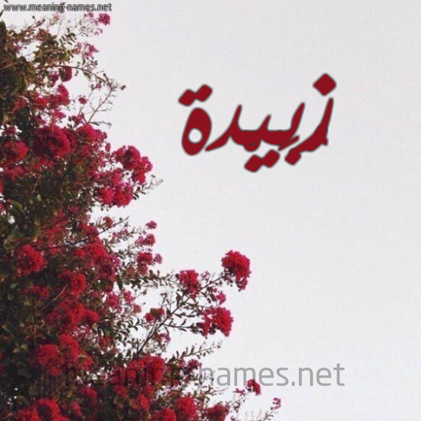 شكل 18 صوره الورد الأحمر للإسم بخط رقعة صورة اسم زُبَيْدة ZOBAIDH